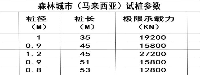 碧桂园森林城市（马来西亚）项目